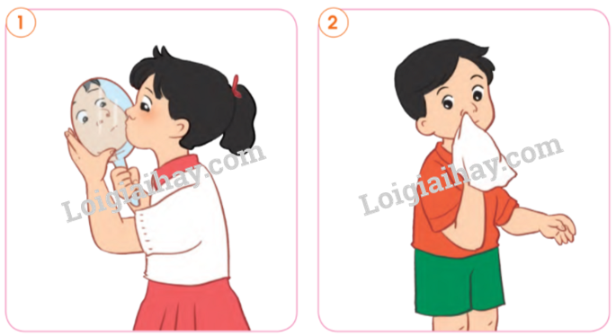 20240605091421giai-mo-dau-trang-96-bai-17-sgk-tu-nhien-va-xa-hoi-lop-2-canh-dieu_1_1634891446 20240605091421giai mo dau trang 96 bai 17 sgk tu nhien va xa hoi lop 2 canh dieu 1 1634891446