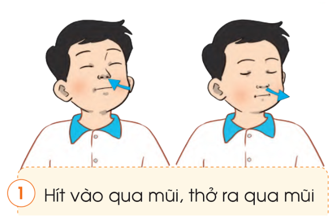 20240605091422giai quan sat muc 1 trang 97 bai 17 sgk tu nhien va xa hoi lop 2 canh dieu 1 1634891530