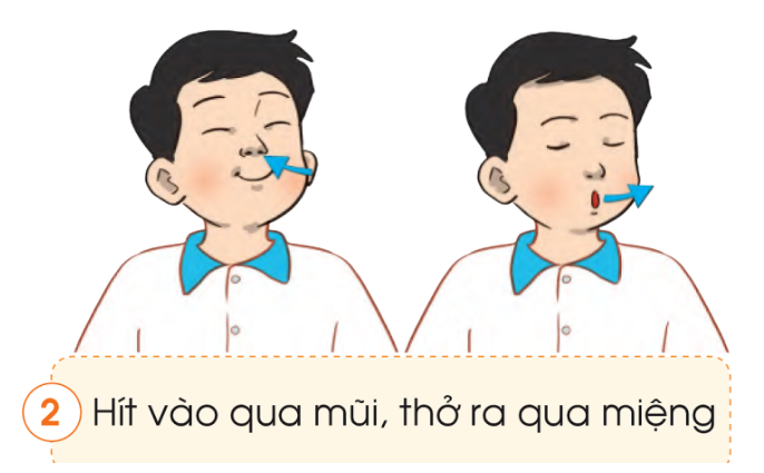 20240605091422giai quan sat muc 1 trang 97 bai 17 sgk tu nhien va xa hoi lop 2 canh dieu 2 1634891530