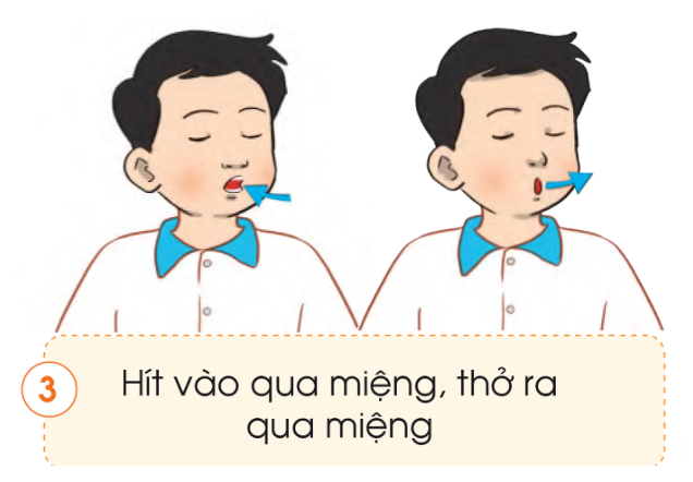 20240605091422giai quan sat muc 1 trang 97 bai 17 sgk tu nhien va xa hoi lop 2 canh dieu 3 1634891530