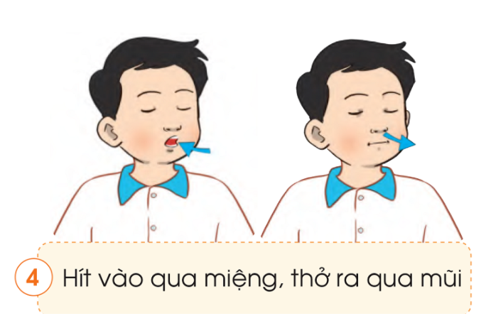 20240605091422giai quan sat muc 1 trang 97 bai 17 sgk tu nhien va xa hoi lop 2 canh dieu 4 1634891530