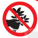 20240605092706a48 20240605092706a48