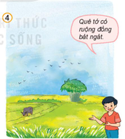 20240605093704a6 20240605093704a6