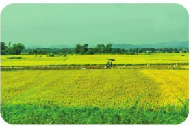 20240605094421a66 20240605094421a66