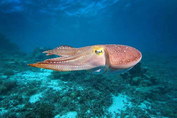 20240605104454unnamed