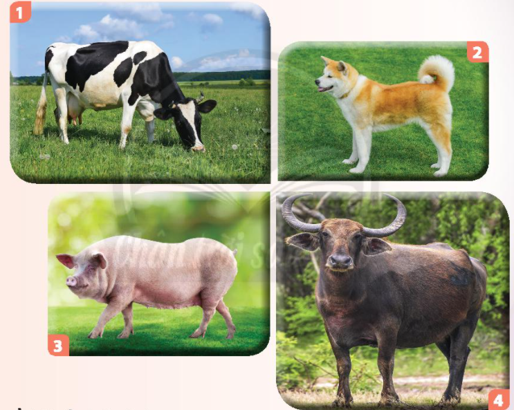 20240605104533khoi tron 5