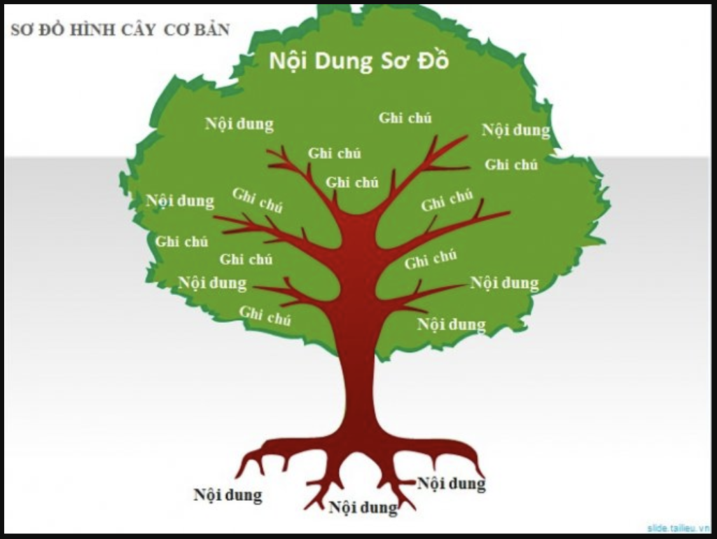 20240605104639762 20240605104639762