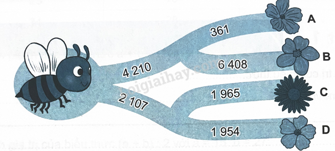 2024061708482320 1 1