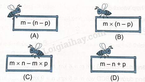 2024061708483420 12 1