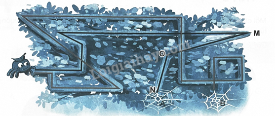 2024061708485920 41 1