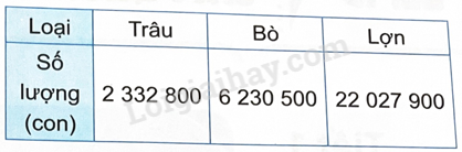 2024061708495220 6 1