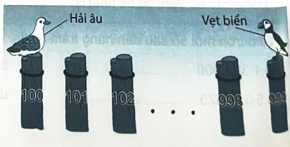 2024061708501320 29 1