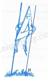 2024061708520820_45 2024061708520820 45