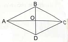 2024061708521620 22 1