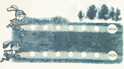 2024061708544620 10 1