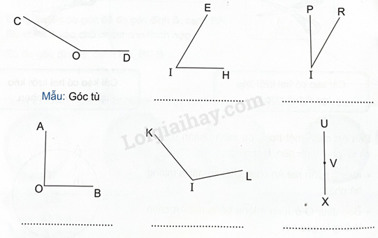 2024061709123320 53 1
