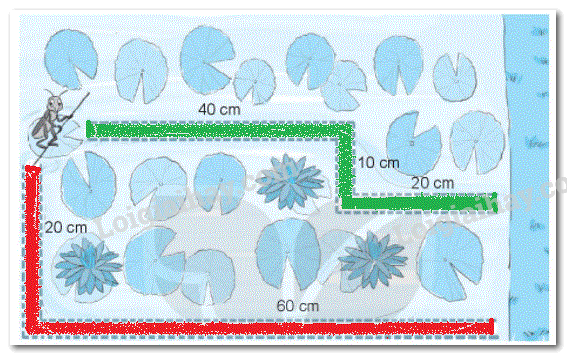 20240618101828bai 3 tiet 3