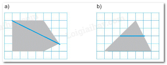 20240618101903cach 2