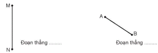 20240618143600bai 5 2