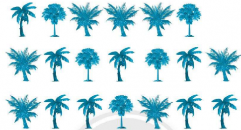 20240618144023bai 2 3