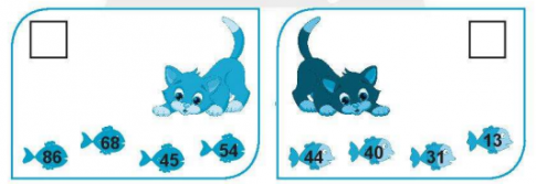 20240618144050bai 6b