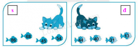 20240618144050tr loi bai 6b