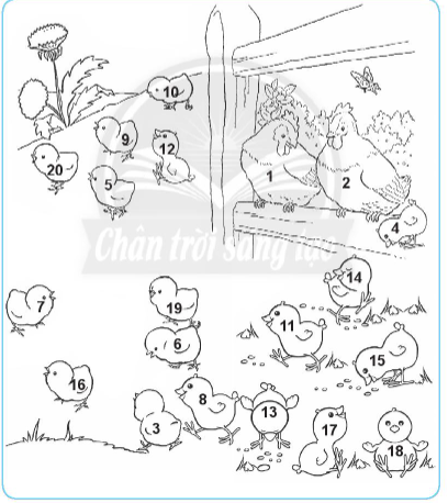 20240618144145bai 5 1