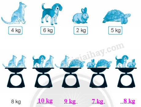 20240618144428tr loi bai 5