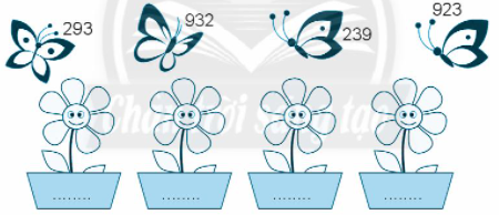 20240618144450bai 3b