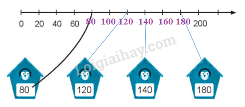 20240618144450tr loi bai 5