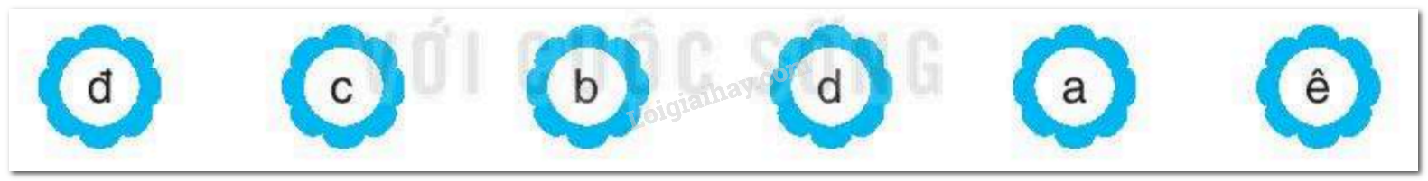 Viết lại các chữ cái dưới đây theo đúng thứ tự trong bảng chữ cái 3 2024061814521325