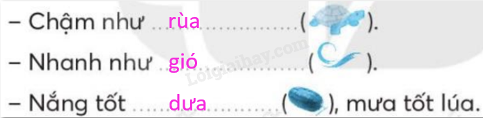 20240618145444145 da