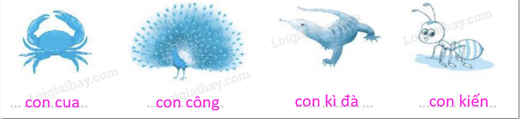 20240618145616183 da