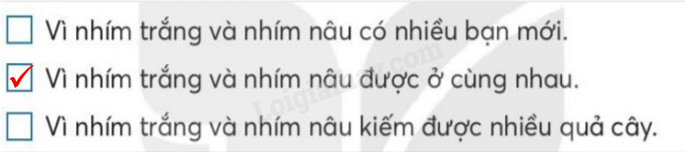 20240618145642201 da