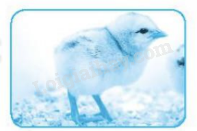 20240618145651205-1 20240618145651205 1