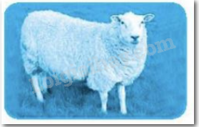 20240618145651205a_1 20240618145651205a 1