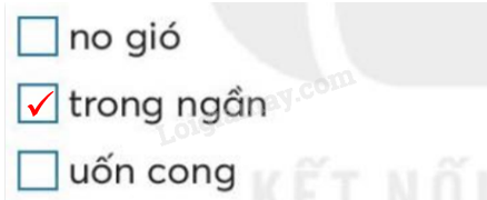 20240618145706212 da