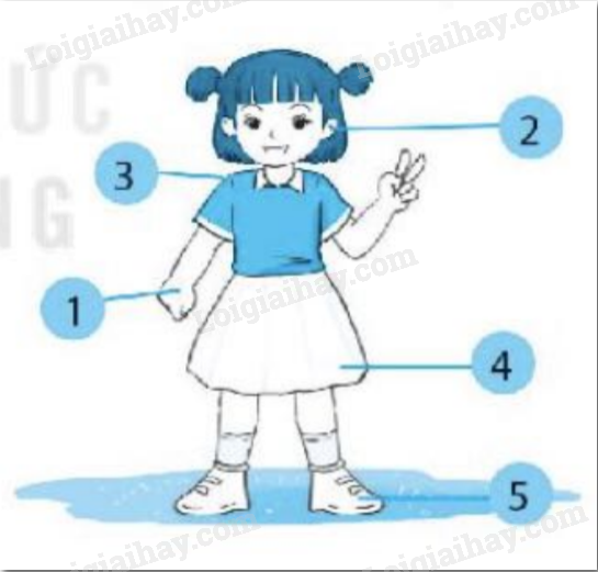 Chọn a hoặc Chọn tiếng thích hợp điềnvào chỗ trống. Mẹ (dắt/ rắt) …. . em đến trường 1 20240618145808265