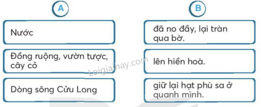 Dựa vào bài đọc, nối từ ngữ ở cột A với từ ngữ phù hợp ở cột B 7 202406181459552 1