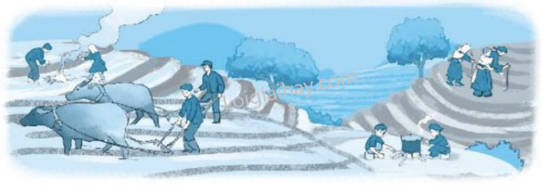 202406181500468-1-1 202406181500468 1 1