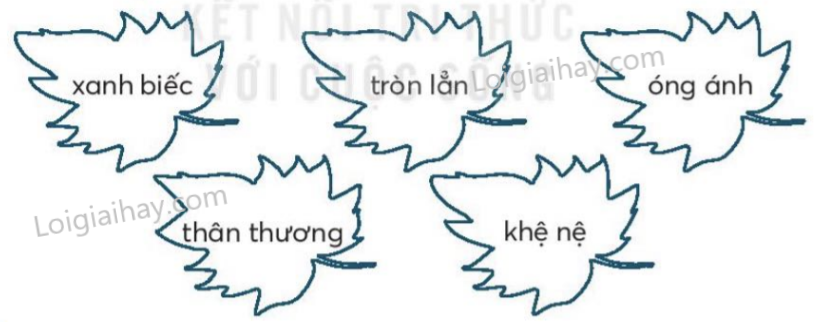 2024061815014616 1 1