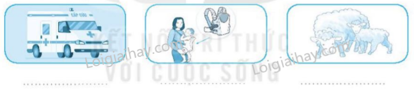 2024061815030224 1 1