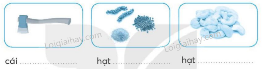 2024061815031826 1 1