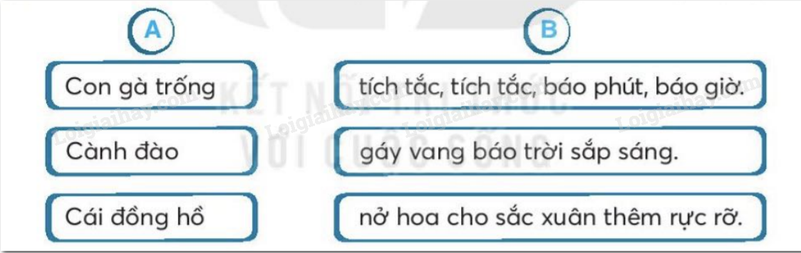 2024061815271442 2024061815271442