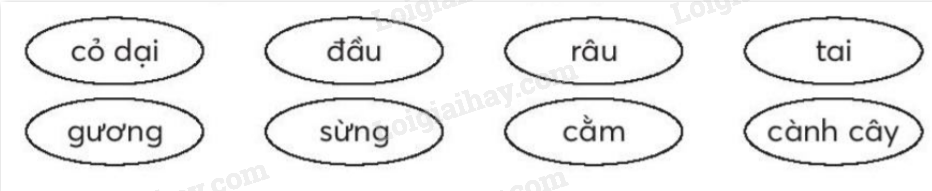 2024061815271953 2024061815271953