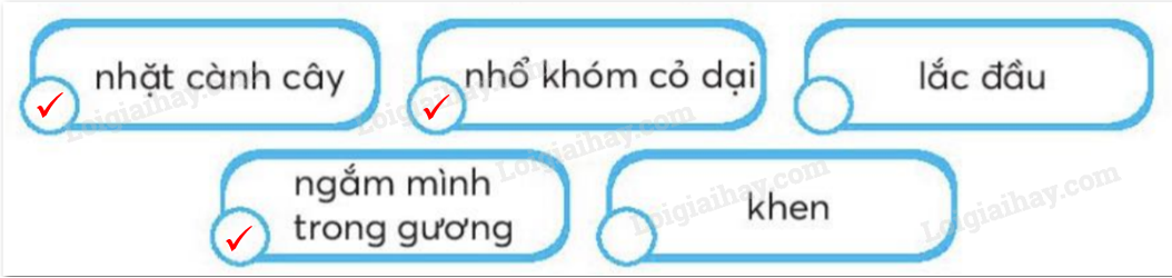 2024061815271954-da 2024061815271954 da