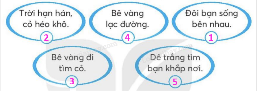 20240618152816171 da