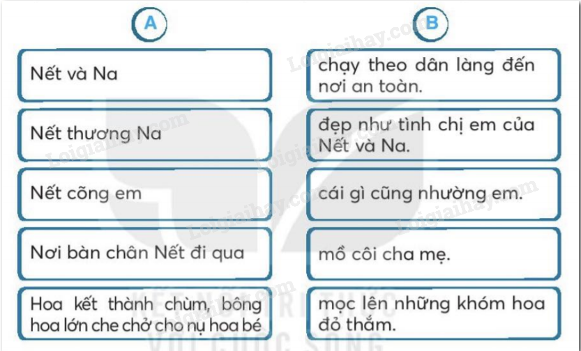 20240618152841251-1 20240618152841251 1