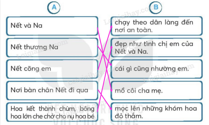 20240618152841251-da 20240618152841251 da