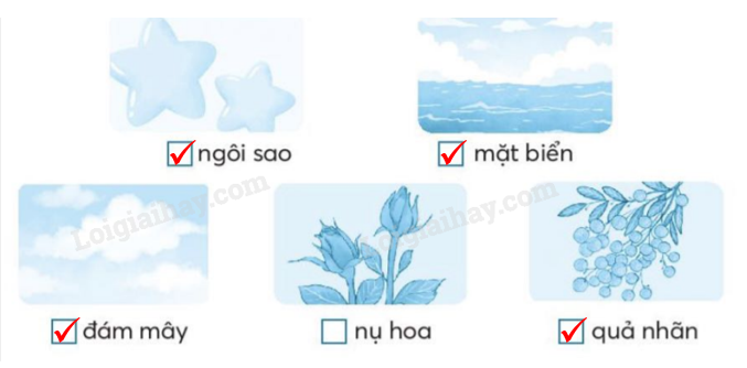 20240618152843262-da 20240618152843262 da